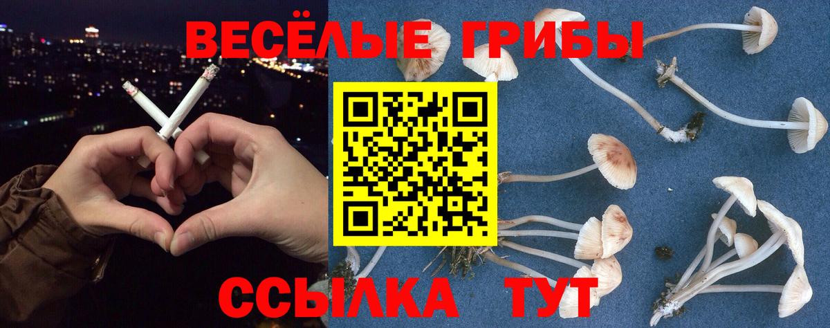 Галлюциногенные грибы Magic Shrooms Ростов Великий